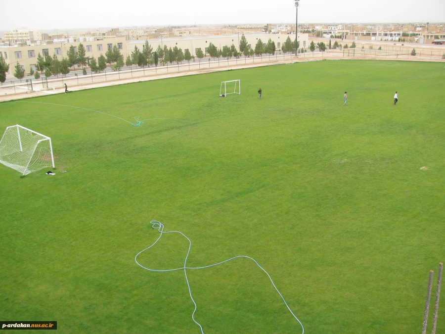 زمین چمن 2