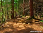 North-nature-photo-20
