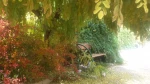 عکس آموزشکده 3