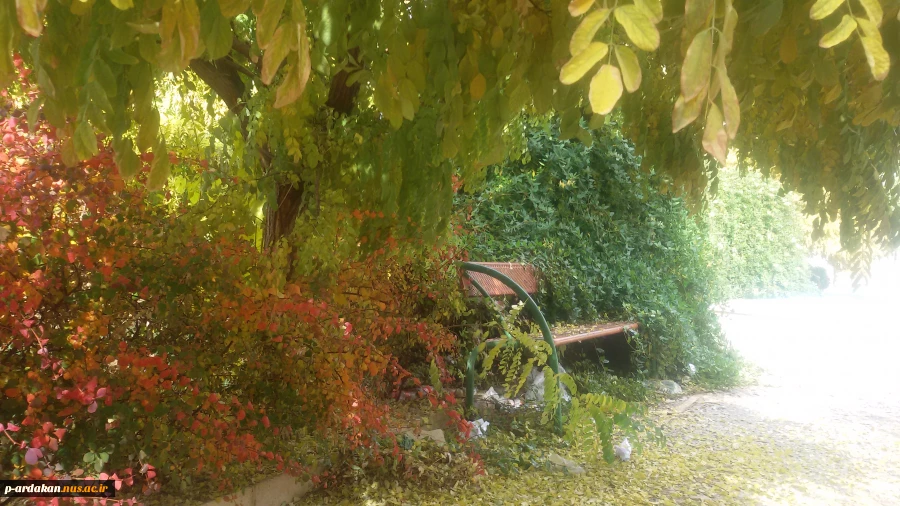 عکس آموزشکده 3