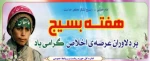 هفته بسیج گرامی باد 2