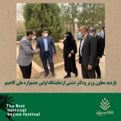بازدید معاون وزیر از نمایشگاه‌  اولین جشنواره‌ ملی کاجینو  2