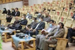 جشنواره ملی کاجینو در اختتامیه مراسم خود نشان داد که هیچ گیاهی غیر مثمر نیست 3