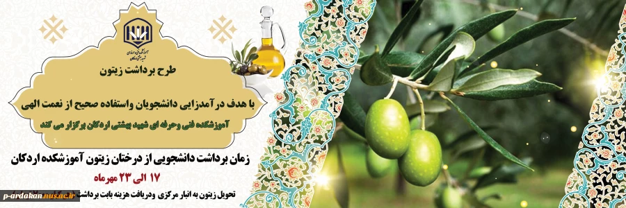 طرح برداشت زیتون با هدف درآمدزایی دانشجویان واستفاده صحیح از نعمت الهی 2