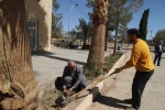 مراسم روز درختکاری در آموزشکده فنی وحرفه ای شهید بهشتی اردکان برگزار شد 3