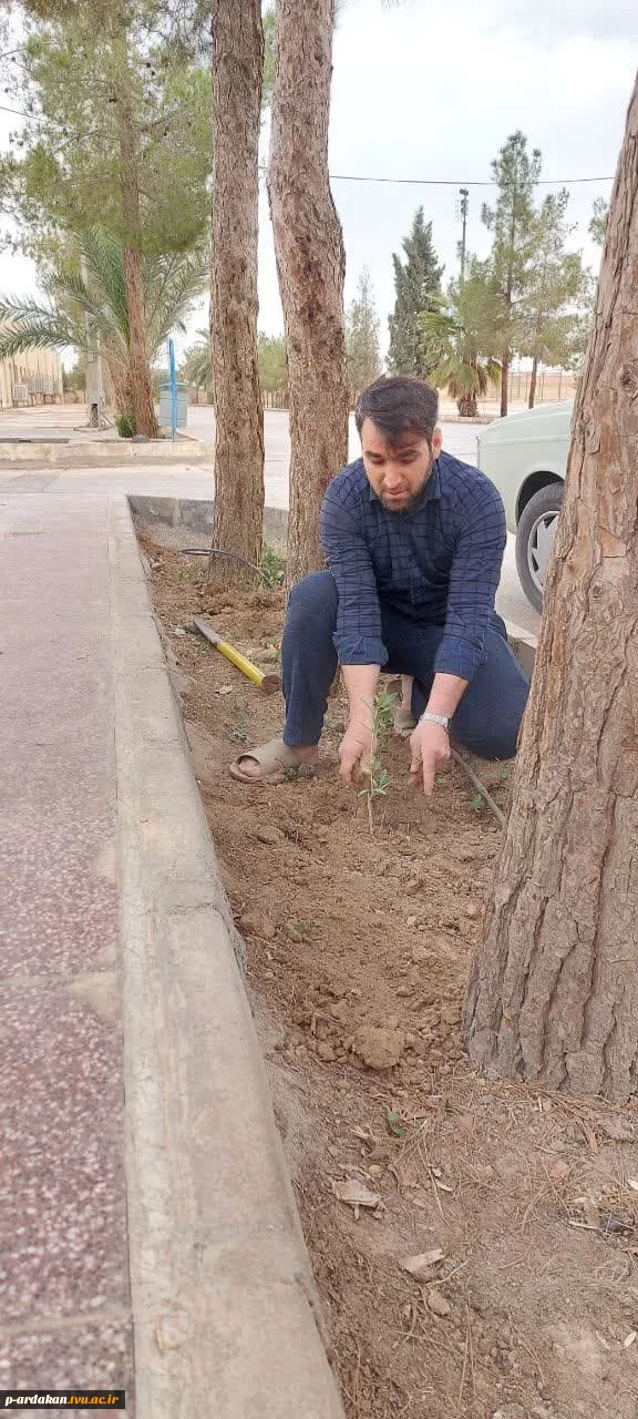 مراسم روز درختکاری در آموزشکده فنی وحرفه ای شهید بهشتی اردکان برگزار شد 15