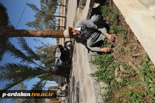 مراسم روز درختکاری در آموزشکده فنی وحرفه ای شهید بهشتی اردکان برگزار شد 4