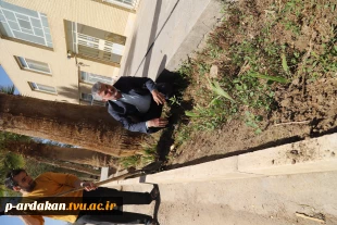 مراسم روز درختکاری در آموزشکده فنی وحرفه ای شهید بهشتی اردکان برگزار شد 5