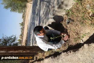 مراسم روز درختکاری در آموزشکده فنی وحرفه ای شهید بهشتی اردکان برگزار شد 7