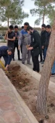 مراسم روز درختکاری در آموزشکده فنی وحرفه ای شهید بهشتی اردکان برگزار شد 10