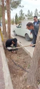 مراسم روز درختکاری در آموزشکده فنی وحرفه ای شهید بهشتی اردکان برگزار شد 11