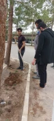 مراسم روز درختکاری در آموزشکده فنی وحرفه ای شهید بهشتی اردکان برگزار شد 12