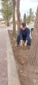 مراسم روز درختکاری در آموزشکده فنی وحرفه ای شهید بهشتی اردکان برگزار شد 14