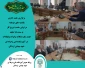 تشکیل جلسه شورای اداری یکشنبه های هر هفته در آموزشکده فنی وحرفه ای شهید بهشتی اردکان