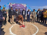 برگزاری مراسم کلنگ‌زنی ساختمان آموزشکده فنی و حرفه‌ای دختران اردکان با حضور ریاست دانشگاه فنی و حرفه‌ای کشور و مسئولین شهرستان 13