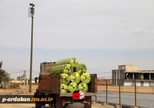 احداث‌زمین‌های چمن‌سرمایه‌گذاری اجتماعی برای آینده جوانان است 4